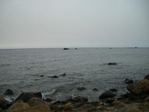 LA PLAGE LE ROCHER THARGA N TZROUTHINE  TIZI OUZOU