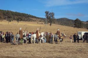 le 1er festival nle du tourisme équestre tiaret du 1 novembre au 4 novembre 2011