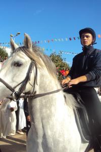 le 1er festival nle du tourisme équestre tiaret du 1 novembre au 4 novembre 2011