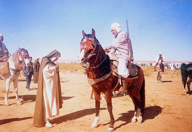 cavalier d'AFLOU sur son Cheval Barbe