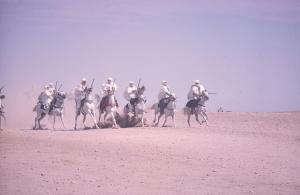Course de Chevaux dans le Désert