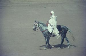 Cavalier Solitaire dans le Désert