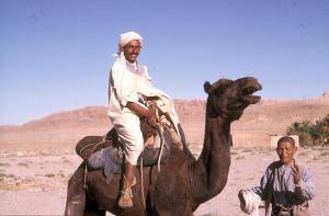 Ballade à Dos de Chameau