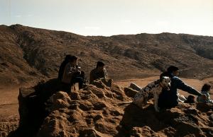 Un Dalmatien au Sahara