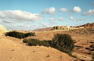 Djelfa Paysage Naturel