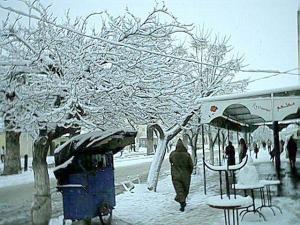 Neige à Djelfa