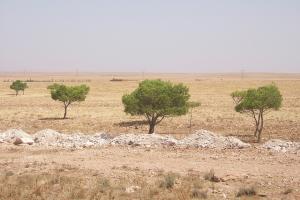 En Route Pour Djelfa