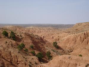 Paysage Désertique de Djelfa