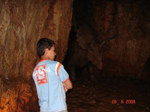 Spécimen de Trircératops ayant vécu dans la région en Algérie