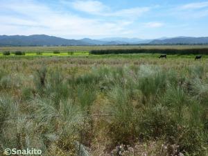 Biosphere à Beni Belaid