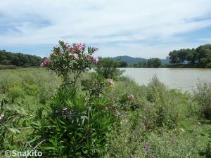 Biosphere à Beni Belaid