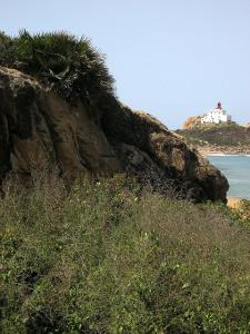 Près du Phare de Jijel