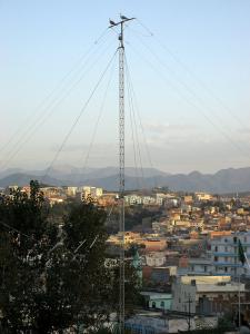 Mouettes sur Poteau électrique