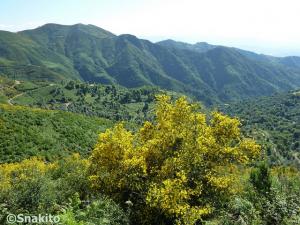Montagnes Babors de Jijel
