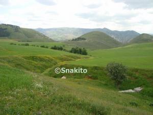 Prairies des Montagnes Babors