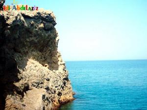 Falaise en Bord de Mer