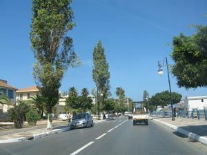 Allée Principale de la Ville