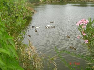 Jijel parc Zoologique