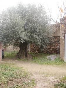 Vieille Bâtisse à Jijel