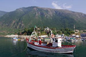 Sardinier au Port de Ziama Mansouria ,Jijel