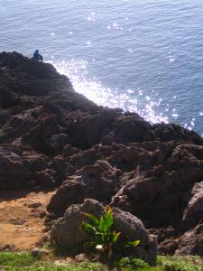 Le Vieille Homme et le Mer