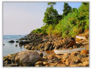 Les Eaux Tièdes des Aftis