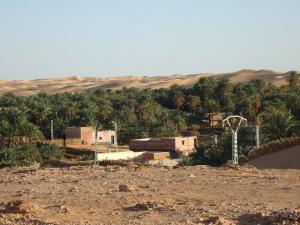 iguran nbni aissi-la palmeraie de beni assi