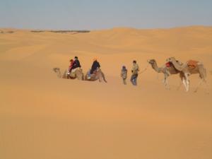 balade ? dos de dromadaire