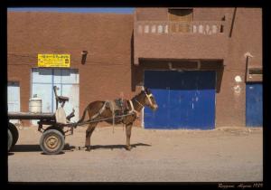 Reggane - Point de non retour