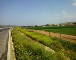 Autoroute - Relizane>>>Chlef