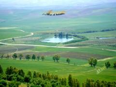 khelloul khalloul kalloul kaloul tenes chlef elkebazlia kobzili ali roma italy