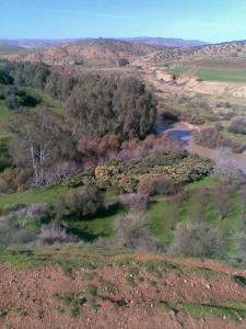 oued chlef au printemps