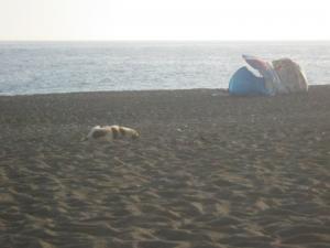 Quand vous vous réveillez le matin a Tarjilat