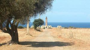 Phare d'ELMARSA (Colombi)