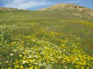 El-Guenanssa, Boukader, Algeria