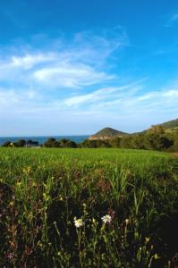 Doumia  le printemps