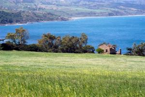 Doumia  le printemps