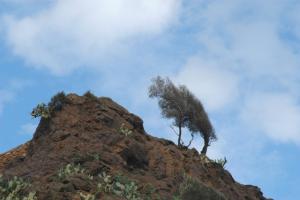 Le rocher du port Briera