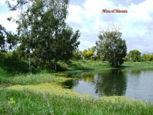 Abou el Hassan  le lac