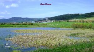 Abou el Hassan  le lac