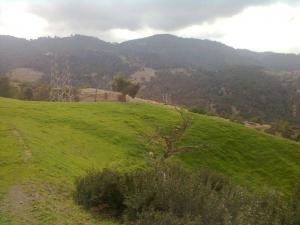 Printemps à Lazharia