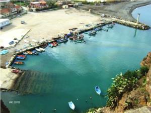 ????? ?????? ??? ????