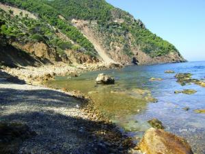 Beni Haoua les sources