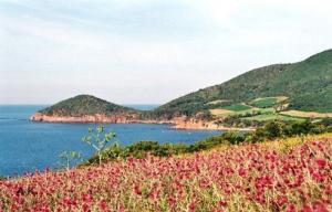 O goussine ( Doumia )