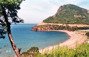 ???? ?????? ????? ???? ?????