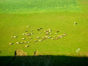 ???? ????? ?????  ????? ?????