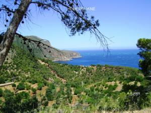 ???? ????? ???? ???? ????? ???