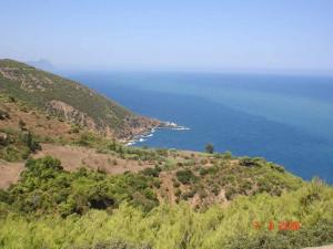 Près de Tarjilet - Damous