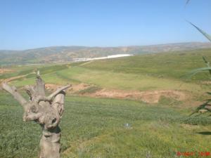 ??????? 12 ??? ????? ????