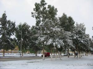 laghouat en neige